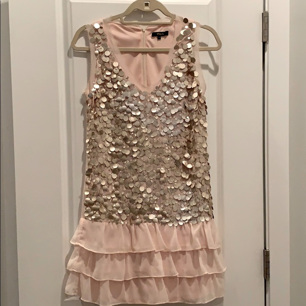 Blast Pink Sequin Flapper Dress | S